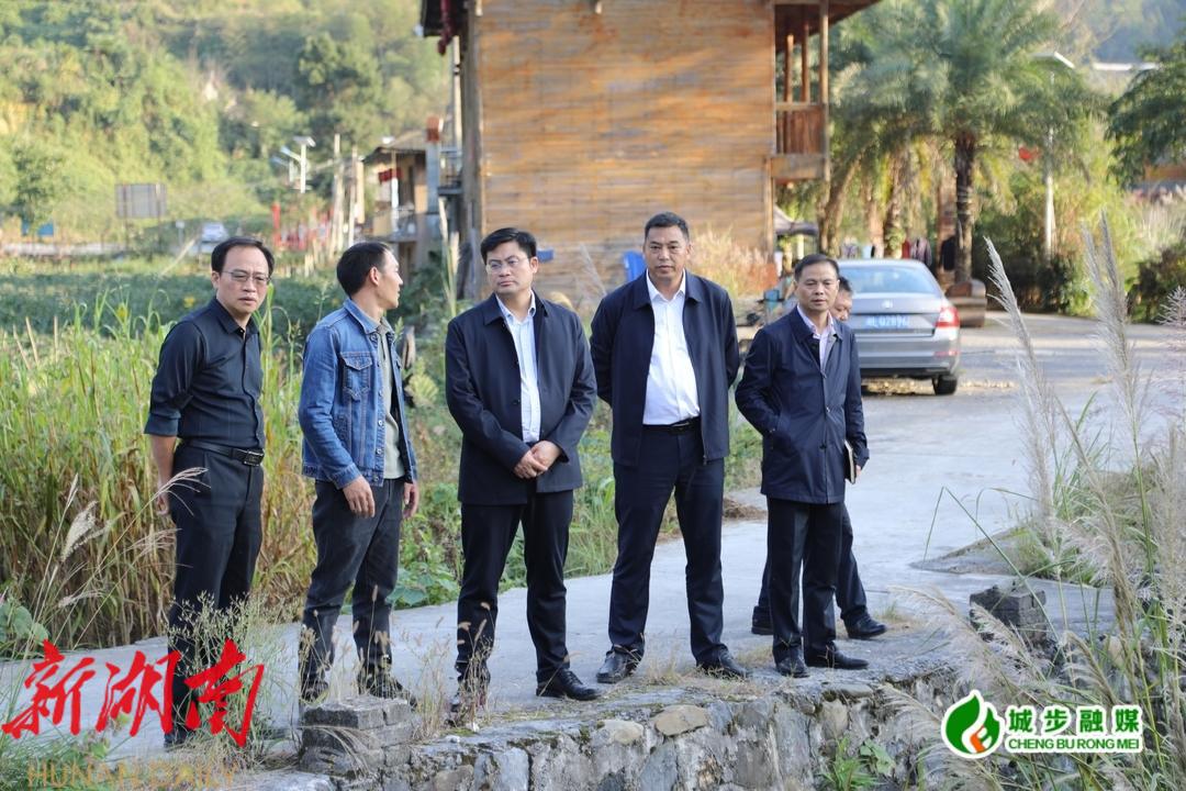 余勋伟到丹口镇调研文旅融合、乡村振兴工作并下沉接访_邵阳头条网
